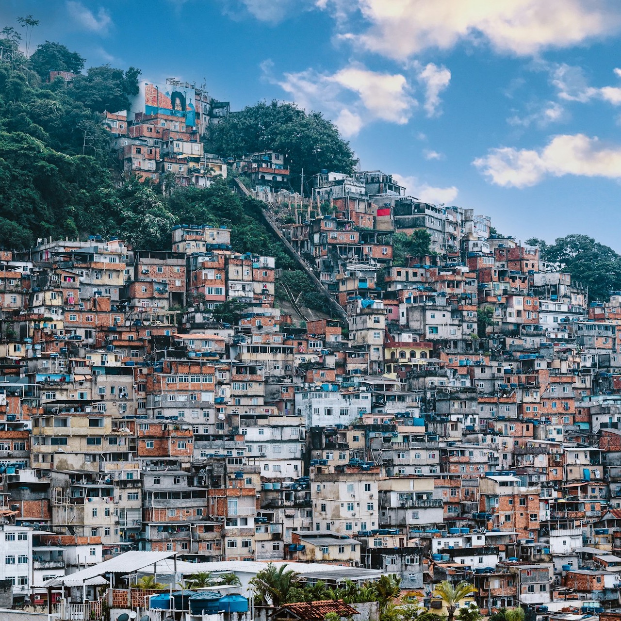 a hillside covered in lots of houses next to a forest