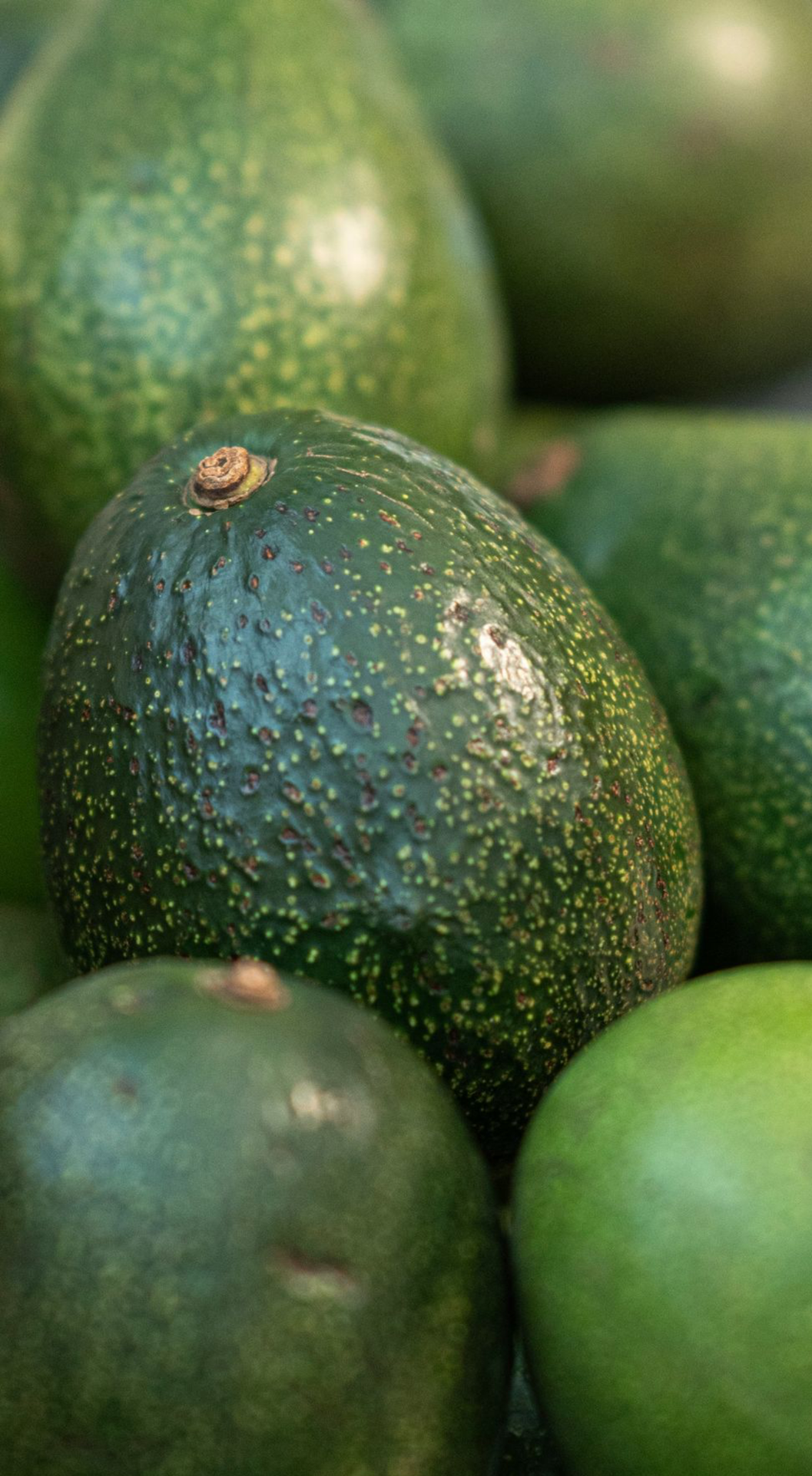 a pile of green avocados sitting on top of each other