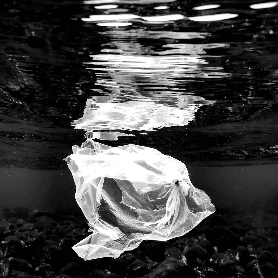 a plastic bag floating on top of a body of water