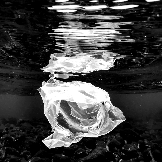 a plastic bag floating on top of a body of water